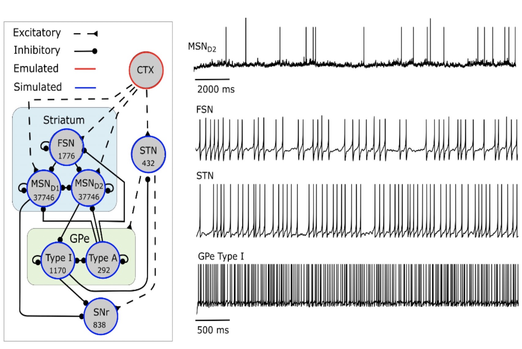 Large scale neural network models of the basal ganglia – an in silico tool for understanding the healthy and diseased system