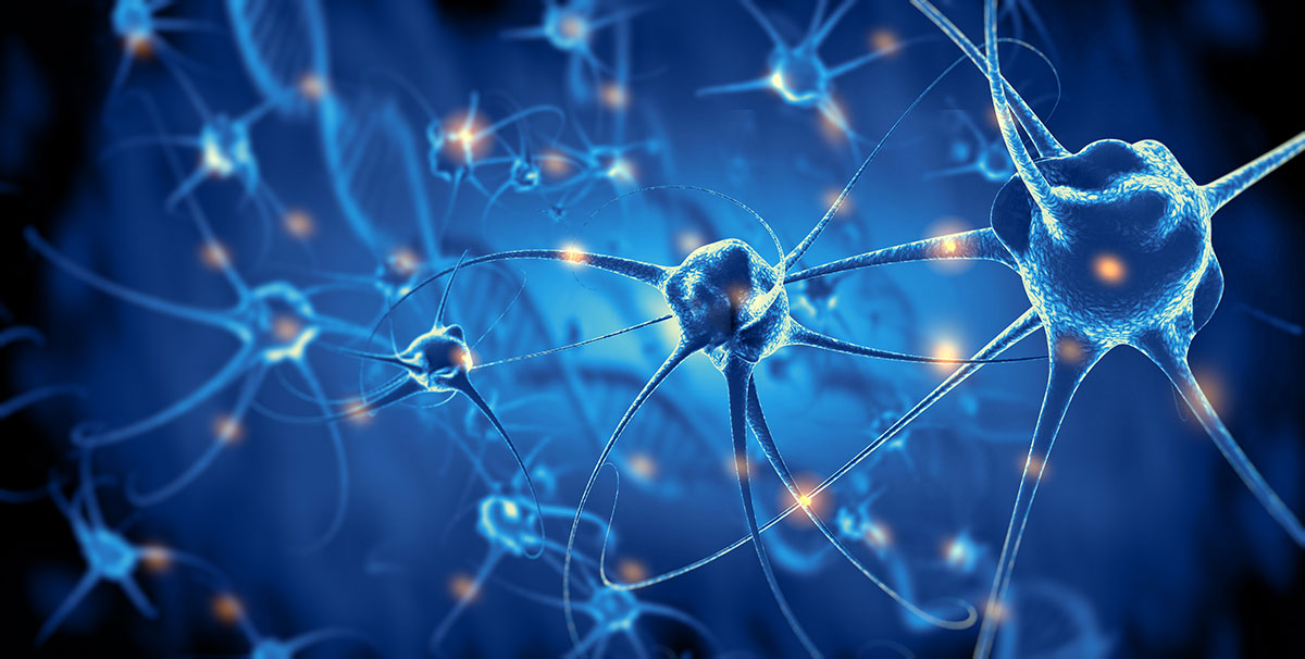 Brain simulation